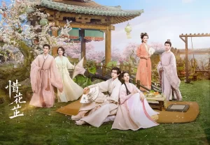 惜花芷 (2024) 4K 国剧 全40集 胡一天 张婧仪 吴希泽 爱情 / 古装-山水资源站