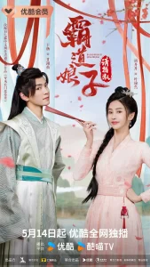 霸道娘子请指教（2024）【胡丹丹/于杨/黄贺】-山水资源站