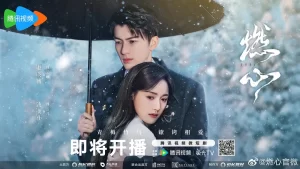 燃心（2024）【赵英博/凌美仕/高天妮】【1080P】国语.中字-山水资源站