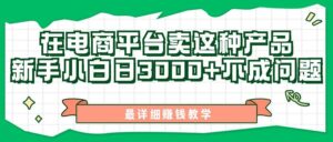 最新在电商平台发布这种产品，新手小白日入3000+不成问题，最详细赚钱教学-山水资源站