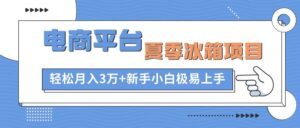 电商平台夏季冰箱项目，轻松月入3万+，新手小白极易上手-山水资源站