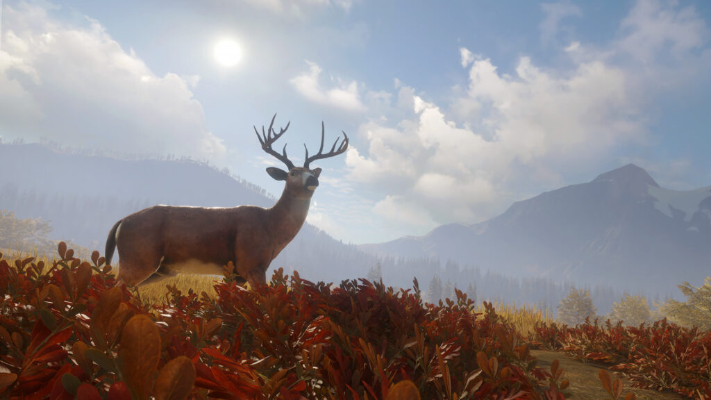 《猎人:野性的召唤/猎人:荒野的呼唤/支持网络联机/theHunter: Call of the Wild》V20240313-P2P|集成56个DLC||官中|支持键鼠.手柄|赠满财富技能小屋位置存档|容量89.1GB插图3 《猎人:野性的召唤/猎人:荒野的呼唤/支持网络联机/theHunter: Call of the Wild》V20240313-P2P|集成56个DLC||官中|支持键鼠.手柄|赠满财富技能小屋位置存档|容量89.1GB插图3