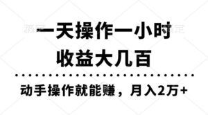 一天操作一小时，收益大几百，动手操作就能赚，月入2万+教学-山水资源站