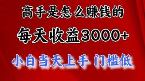 高手是怎么赚钱的，一天收益3000+ 这是穷人逆风翻盘的一个项目-山水资源站