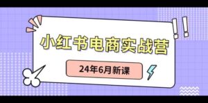 小红书电商实战营：小红书笔记带货和无人直播，24年6月新课-山水资源站
