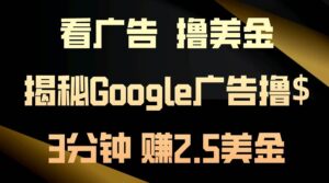 看广告，撸美金！3分钟赚2.5美金！日入200美金不是梦！揭秘Google广告撸金-山水资源站