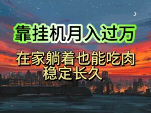 挂机项目日入1000+，躺着也能吃肉，适合宝爸宝妈学生党工作室-山水资源站