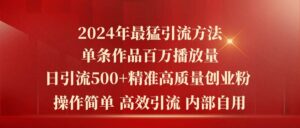 2024年最猛暴力引流方法，单条作品百万播放 单日引流500+高质量精准创业粉-山水资源站