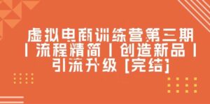 虚拟电商训练营第三期丨流程精简丨创造新品丨引流升级 [完结]-山水资源站