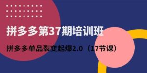 拼多多第37期培训班：拼多多单品裂变起爆2.0（17节课）-山水资源站