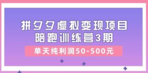 某收费培训《拼夕夕虚拟变现项目陪跑训练营3期》单天纯利润50-500元-山水资源站