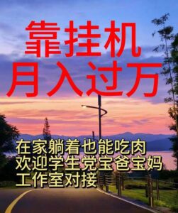 靠挂机，日入1000+，躺着也能吃肉，电脑手机都可挂-山水资源站