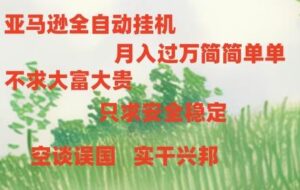 亚马逊全自动浏览挂机-山水资源站