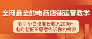 电商店铺运营教学，新手小白也能日收入2000+，电商老板不愿意告诉你的机密-山水资源站