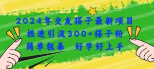 2024年交友搭子最新项目，极速引流300+搭子粉，简单粗暴，好学好上手-山水资源站