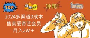 2024多渠道0成本售卖爱奇艺会员月入2W＋-山水资源站
