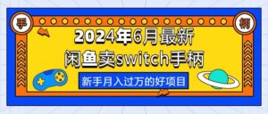 2024年6月最新闲鱼卖switch游戏手柄，新手月入过万的第一个好项目-山水资源站