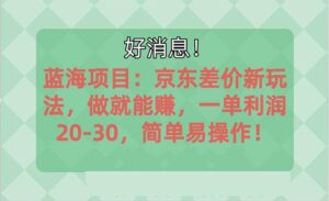越早知道越能赚到钱的蓝海项目：京东大平台操作，做就能赚，一单利润20-30，简单易操作！-山水资源站