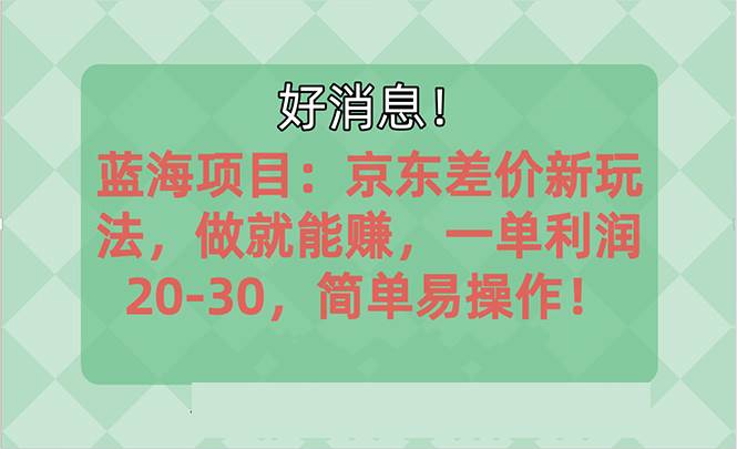 越早知道越能赚到钱的蓝海项目：京东大平台操作，做就能赚，一单利润20-30，简单易操作！插图