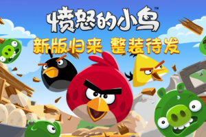 《休闲益智愤怒的小鸟/Angry Birds》9个版本共1GB-山水资源站