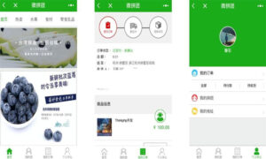 ThinkPHP内核微信拼团购物商城小程序源码-山水资源站