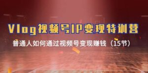 Vlog 视频号IP变现特训营，普通人如何通过视频号变现赚钱（15节）-山水资源站