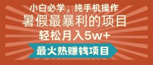 小白必学，纯手机操作，暑假最暴利的项目轻松月入5w+最火热赚钱项目-山水资源站
