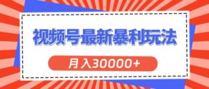 视频号最新暴利玩法，轻松月入30000+-山水资源站