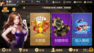 牌友VV联盟完整组件+视频搭建教程 乐在其中二开完整数据 金币房卡双模式大联盟-山水资源站