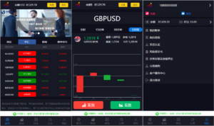 最新美金版外汇股指手动结算点位盘系统Yii源码 非时间盘+完善风控系统+完整数据-山水资源站