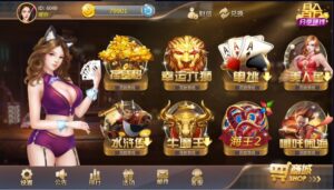 新版星力10代/星途游戏电玩棋牌组件带视频搭建教程-山水资源站