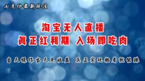 七月份淘宝无人直播最新玩法，入场即吃肉，真正实现躺着也能赚钱-山水资源站