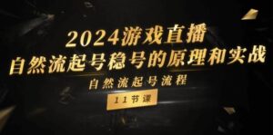 2024游戏直播-自然流起号稳号的原理和实战，自然流起号流程（11节）-山水资源站
