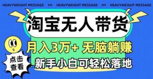 淘宝无人带货3.0高收益玩法，月入3万+，无脑躺赚，新手小白可落地实操-山水资源站