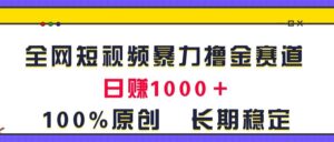 全网短视频暴力撸金赛道，日入1000＋！原创玩法，长期稳定-山水资源站