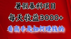 暑假暴利项目，每天收益3000+ 努努力能达到5000+，暑假大流量来了-山水资源站