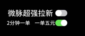 微脉超强拉新， 两分钟1单， 一单利润5块，适合小白-山水资源站