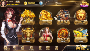 经典街机电玩游戏平台 178系列 星途电玩城（星力电玩）带机器人完美运营版本-山水资源站