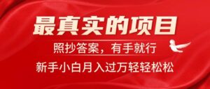 最真实的项目，照抄答案，有手就行，新手小白月入过万轻轻松松-山水资源站