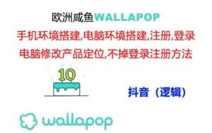 wallapop整套详细闭环流程：最稳定封号率低的一个操作账号的办法-山水资源站