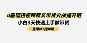 0基础短视频图文带货实战提升班(直播课+视频课)：小白3天快速上手做带货-山水资源站