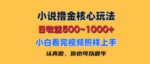 小说撸金核心玩法，日收益500-1000+，小白看完照样上手，0成本有手就行-山水资源站