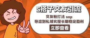 某收费888-S搭子交友引流，交友粉打法 sop，导流到私域实现长期稳定盈利-山水资源站