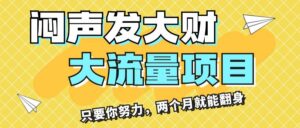 闷声发大财，大流量项目，月收益过3万，只要你努力，两个月就能翻身-山水资源站