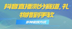 抖音直播测分赛道，多种变现方式，轻松日入1000+-山水资源站