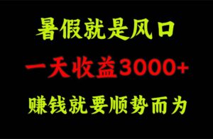 一天收益3000+ 赚钱就是顺势而为，暑假就是风口-山水资源站