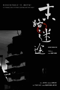 末路迷途丨悬疑 犯罪丨国产2024-山水资源站