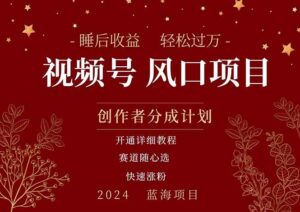 拥有睡眠收益的微信视频号大风口项目，轻松月入过万+，多赛道选择-山水资源站