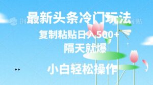最新头条冷门玩法，隔天就爆，复制粘贴日入500+-山水资源站