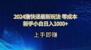 2024撸快递最新玩法零成本新手小白日入1000+-山水资源站